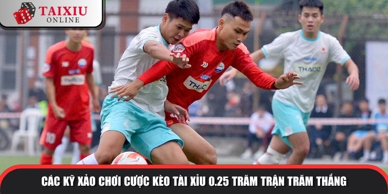 Các kỹ xảo chơi cược kèo tài xỉu 0.25 trăm trận trăm thắng