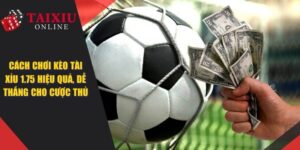 Cách Chơi Kèo Tài Xỉu 1.75 Hiệu Quả, Dễ Thắng Cho Cược Thủ