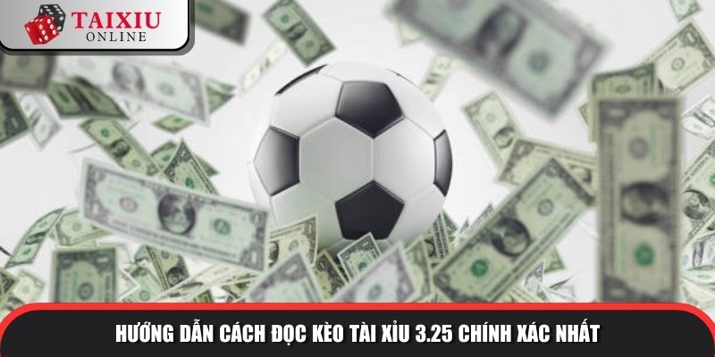 tai xiu 325 1 991 Hướng dẫn cách đọc kèo tài xỉu 3.25 chính xác nhất