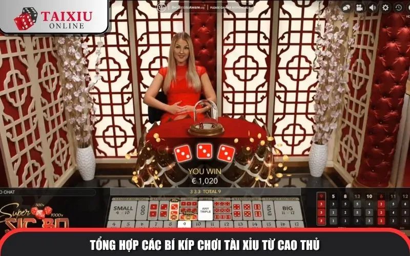 Tổng hợp các bí kíp chơi tài xỉu từ cao thủ